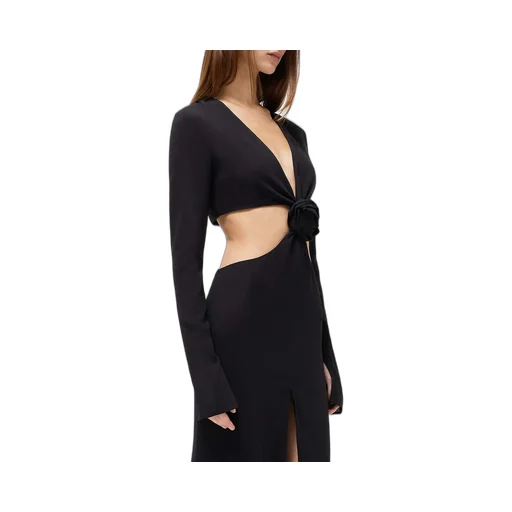 Blumarine Rose Detailed Cut-Out Long Dress