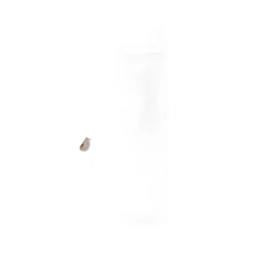 Notched-Collar Cotton Shirt