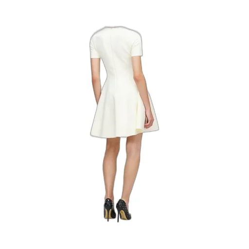 Fit And Flare Mini Dress In Ivory