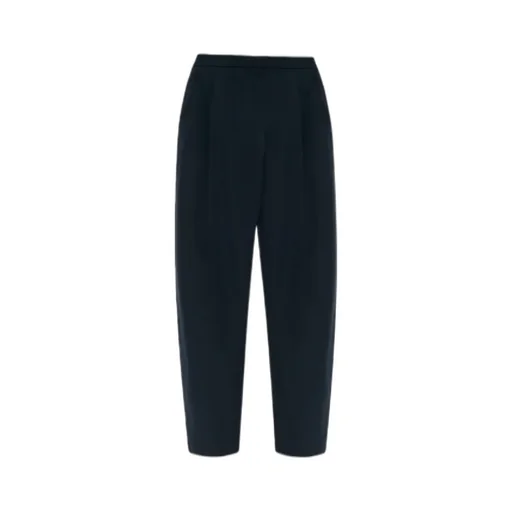 Pleated Trousers