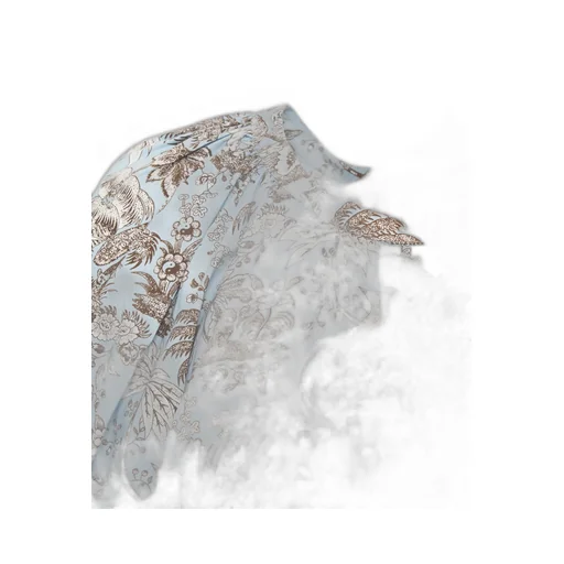 Printed Dress