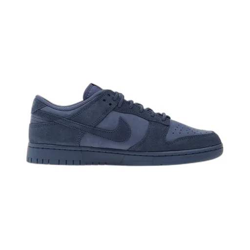 Dunk Low Retro Se Sneakers