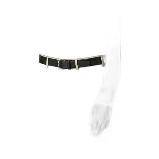 Engraved-Logo Buckle Belt