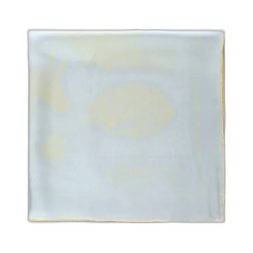 Jacquemus Graphic Printed Scarf