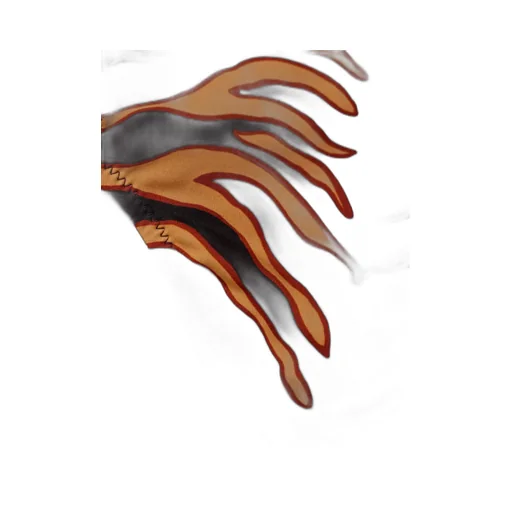 Zahara Tiger Print Bikini Briefs