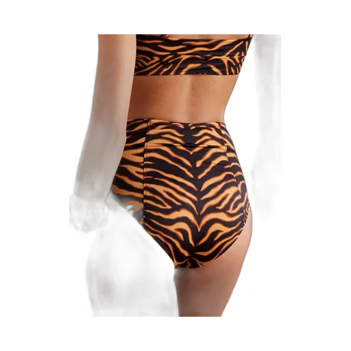 Zahara Tiger Print Bikini Briefs