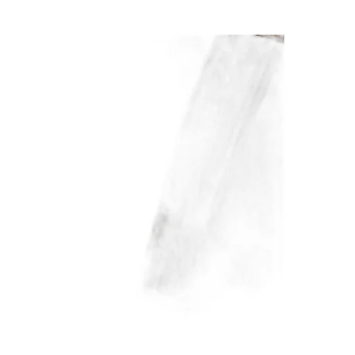 Carpenter Trousers