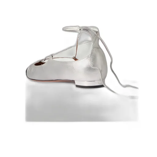Gabi Ballerina Shoes