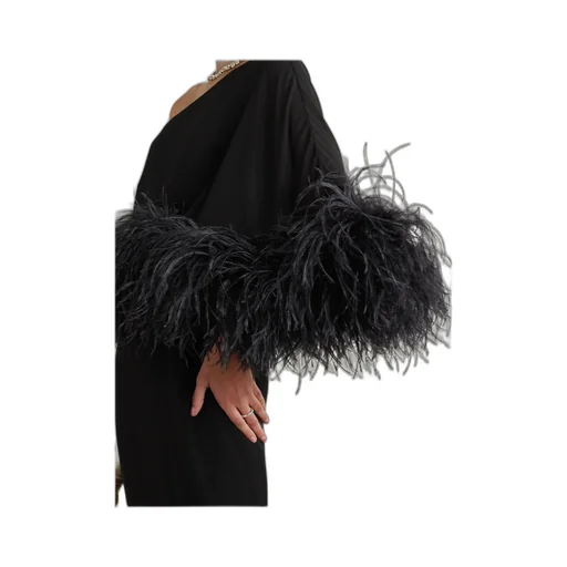 Alder One-Shoulder Feather-Trimmed Crepe Gown