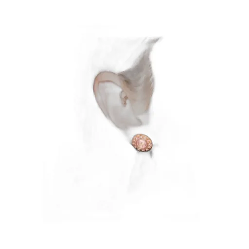 Moondance Crystal Stud Earrings