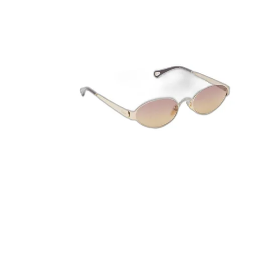Full-Frame Sunglasses