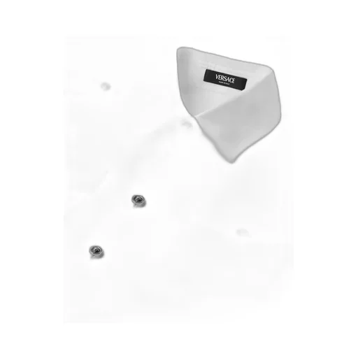 Versace Long-Sleeved Button-Up Shirt