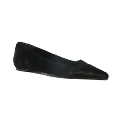 Pointed Ballet Shoes