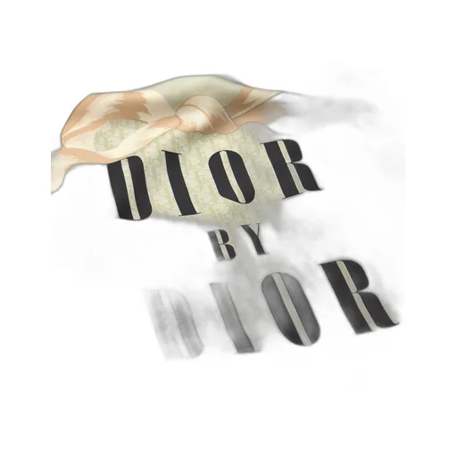 Dior Printed Square Scarf