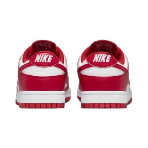 Nike Dunk Low Next Nature Lace-Up Sneakers