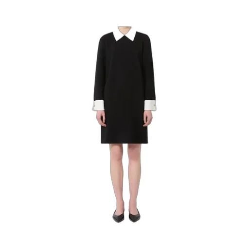 Long-Sleeved Dress