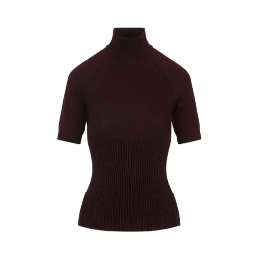 AlaÏA Ribbed High Neck Top