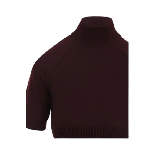 AlaÏA Ribbed High Neck Top