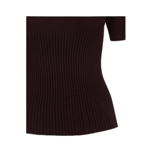 AlaÏA Ribbed High Neck Top