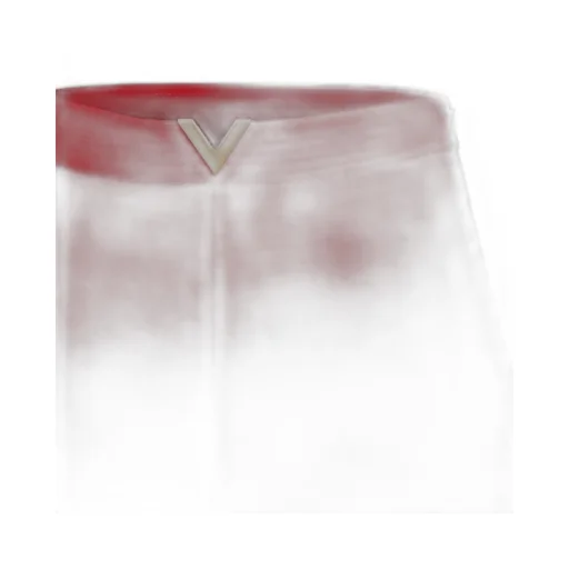 Logo Shorts