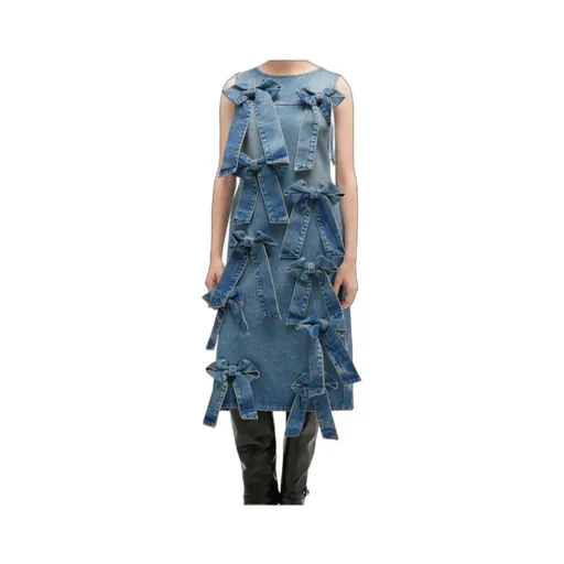 Light Rigid Denim Dress