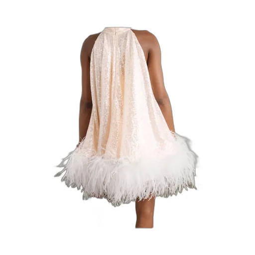 Cindy Feather-Trimmed Sequined Tulle Mini Dress