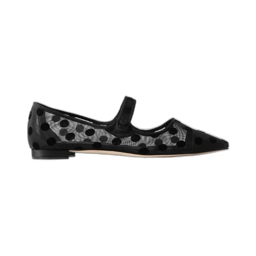 Pointed Toe Ballet Flats