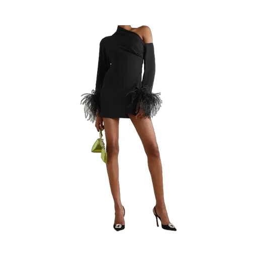 Feather Trimmed Dress
