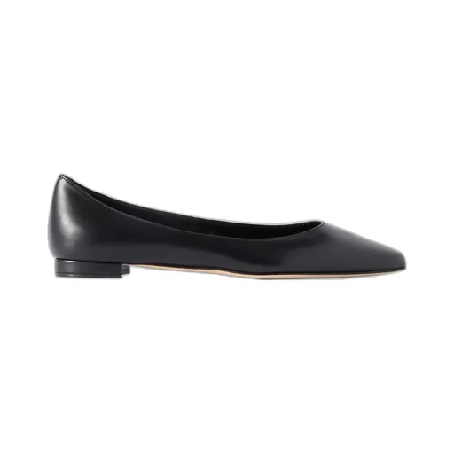 Pointed Toe Flats