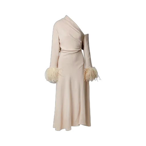 Adelaide One-Shoulder Feather-Trimmed Crepe Maxi Dress