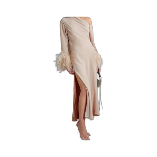Adelaide One-Shoulder Feather-Trimmed Crepe Maxi Dress