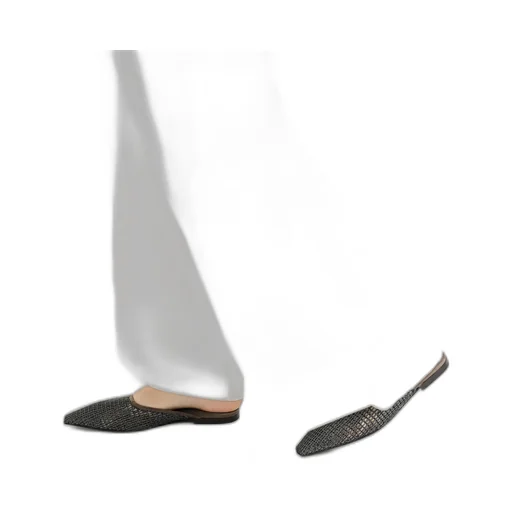 Precious Net-Embroidery Flat Mules