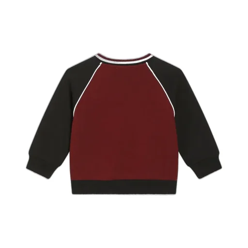 Dolce & Gabbana Kids Logo Patch Crewneck Sweatshirt
