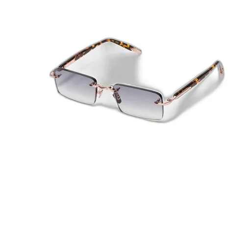R01 Tortoiseshell Sunglasses