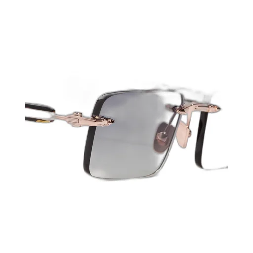 R01 Tortoiseshell Sunglasses