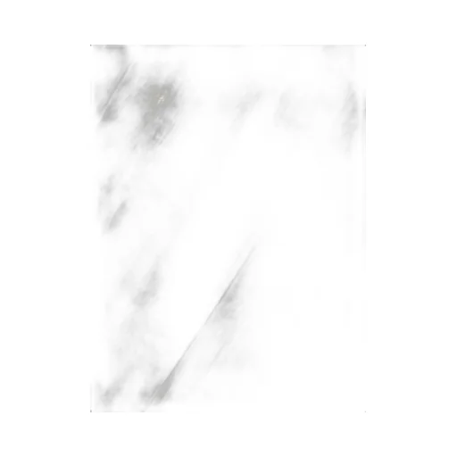 Pleated Conical Trousers