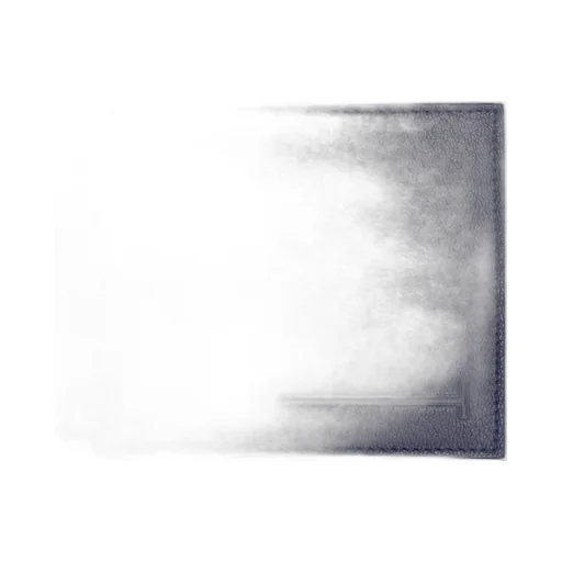 T-Shaped Wallet