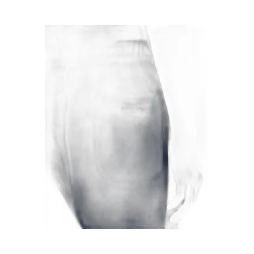 Embroidered Jogpants In Cotton Boke Flower