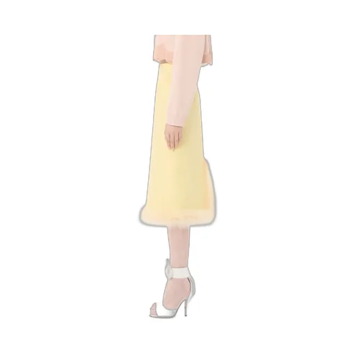 Crepe Couture Skirt With Feathers