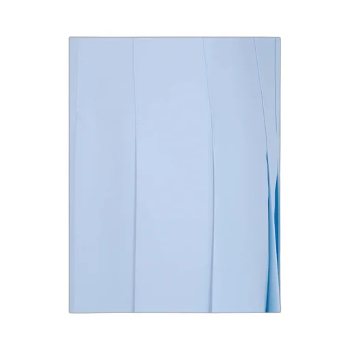 Fabiana Filippi Pleated Midi Skirt