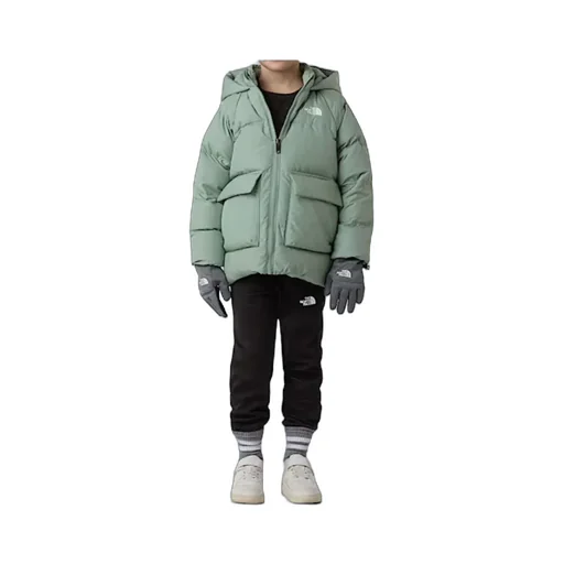 North Parker Down Jacket