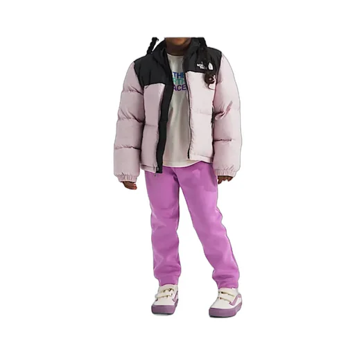 1996 Retro Nuptse Down Jacket