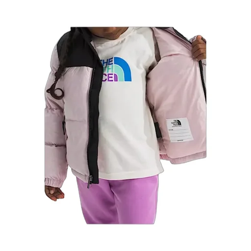 1996 Retro Nuptse Down Jacket