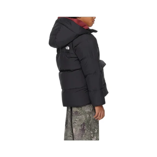 North Parker Down Jacket