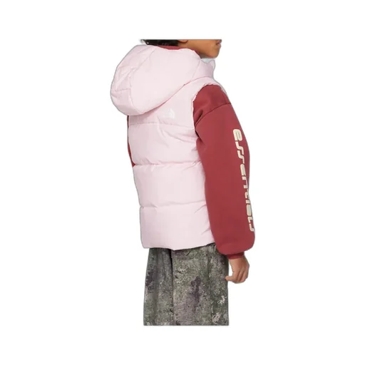 North Hooded Down Vest