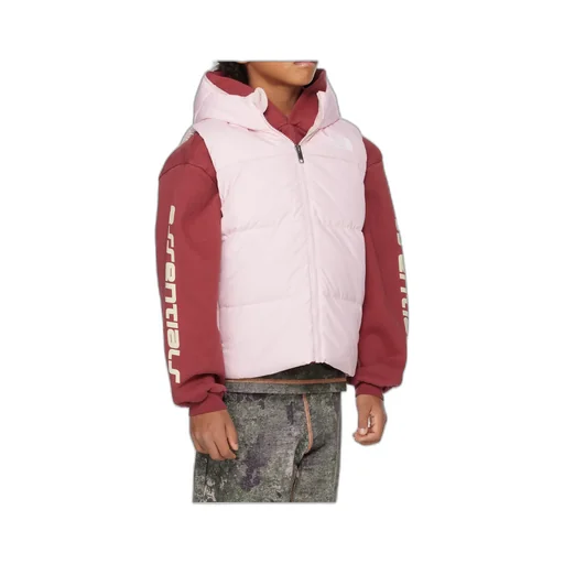 North Hooded Down Vest