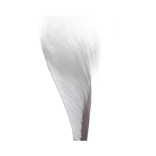 Pleats Please Issey Miyake Basics Cardigan