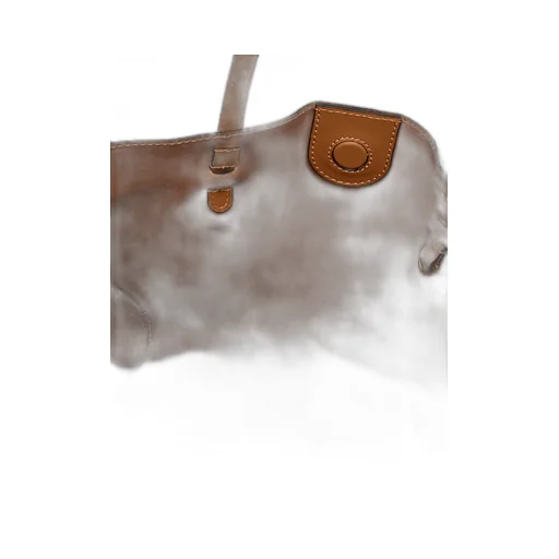 Logo Handbag