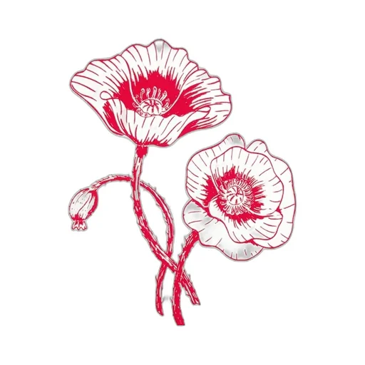 Alexander Mcqueen Logo Flower Printed Crewneck T-Shirt