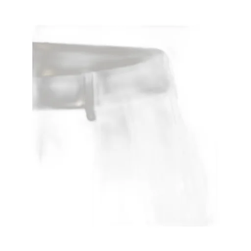 Fabiana Filippi Pleated Shorts